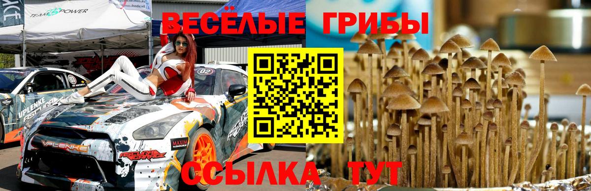Нефтекамск  Галлюциногенные грибы Magic Shrooms  Вход с VPN 